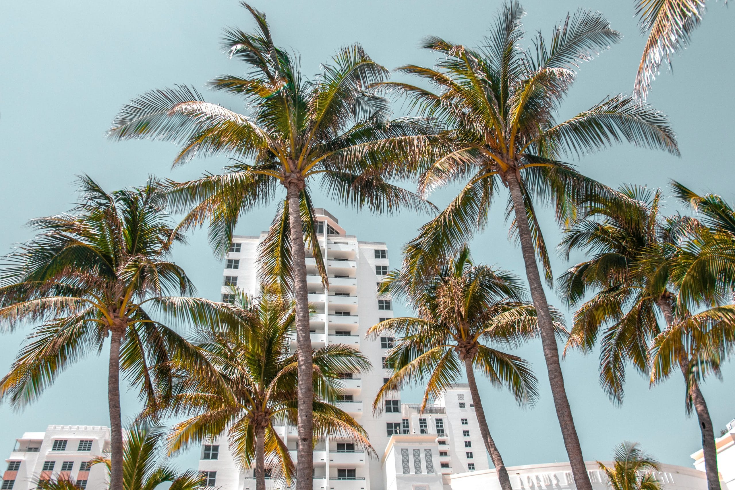 kian-lem-s_HqmrMsph8-unsplash (1) 5-day Miami itinerary