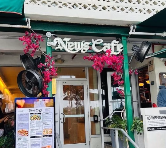 News Cafe News Cafe