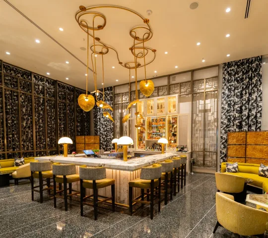 Lapidus Bar Lapidus Bar