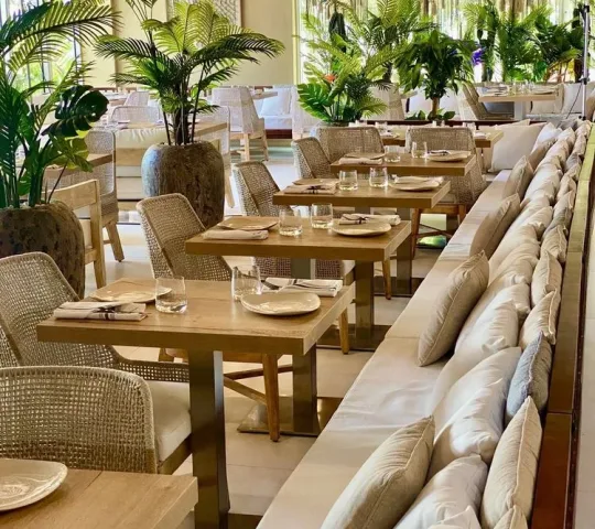 Pamplemousse on the Bay Miami Beach Pamplemousse on the Bay Miami Beach