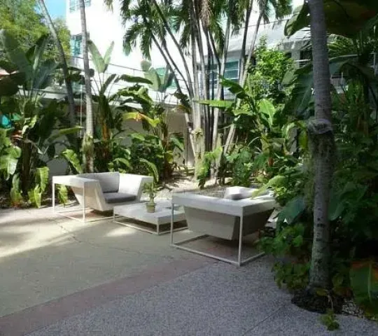 The Massage Room
