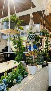 Dining room bar area with hanging plants and white tables at Kalamata Mediterranean Cuisine