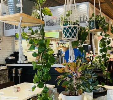Dining room bar area with hanging plants and white tables at Kalamata Mediterranean Cuisine
