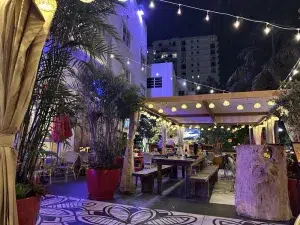 Outdoor patio with string lights, tropical plants, and dining tables at Maxine's Bistro & Bar in Miami Beach.