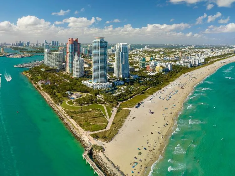 Miami Beach shoreline with turquoise water, soft sand, and palm trees under a sunny sky.