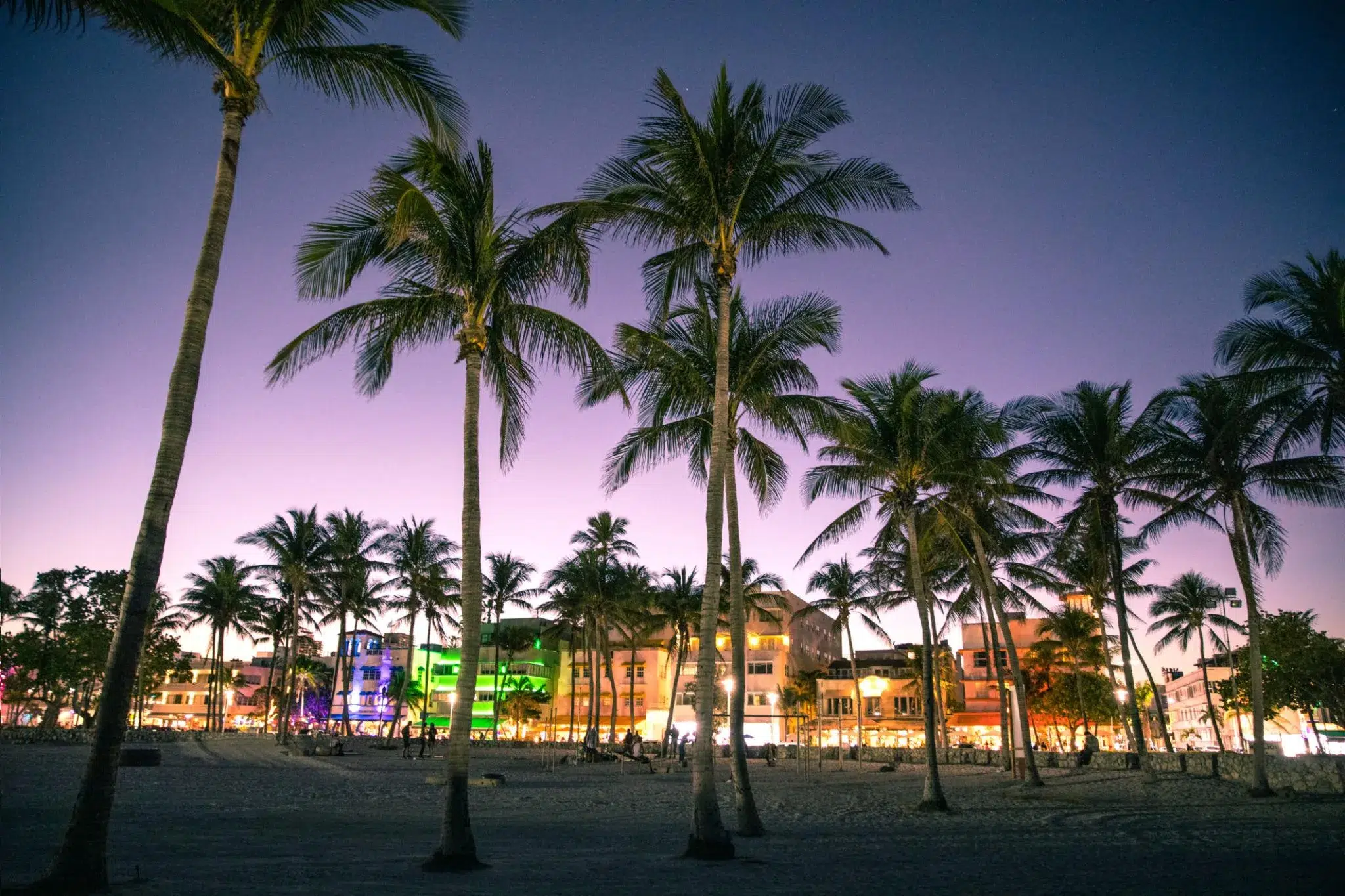 Miami Beach palm trees at sunset with colorful buildings and tropical skyline