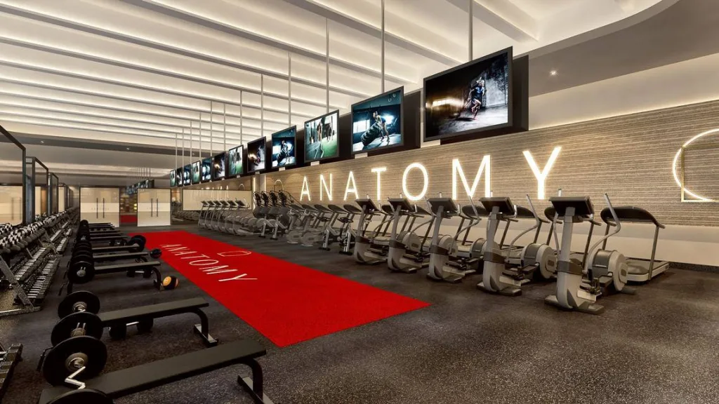 Luxury cardio and strength training area at Anatomy Fitness Miami Beach with modern equipment and premium gym design