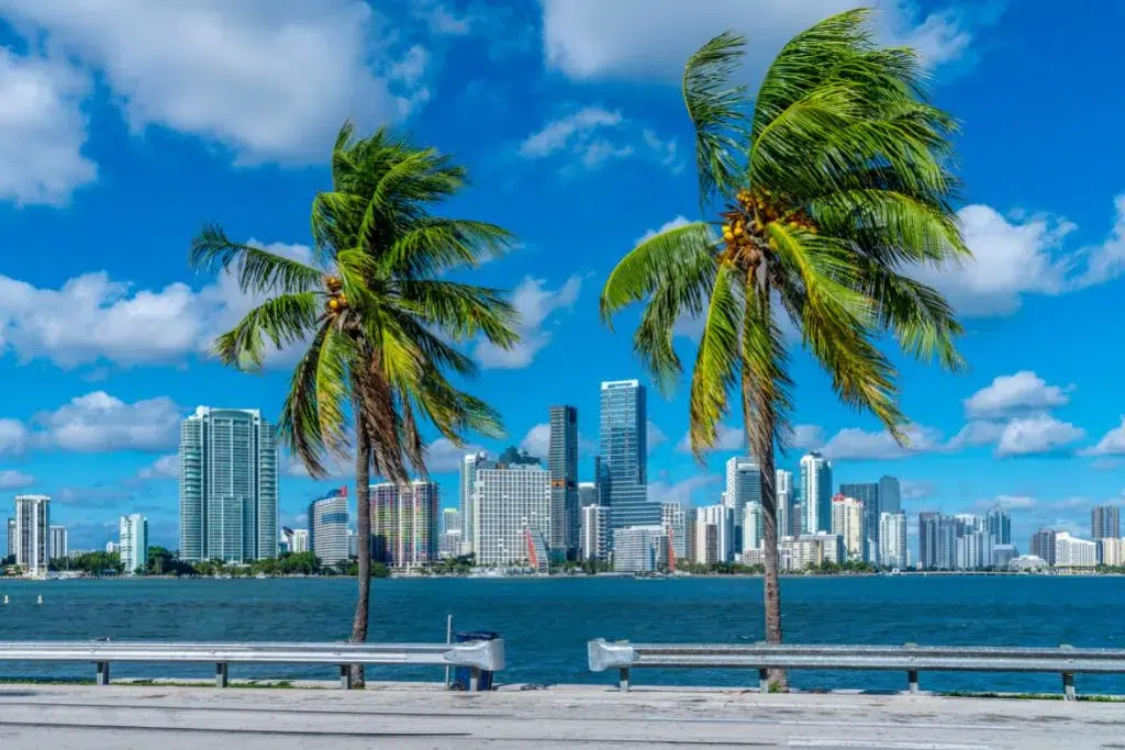 Miami town street in spring with palm trees, sunshine and colorful city atmosphere
