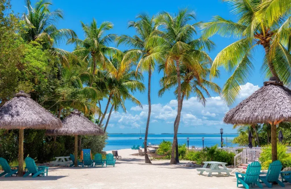 Tropical Florida Keys beachfront with palm trees, tiki huts, and lounge chairs overlooking clear blue ocean water near Miami.