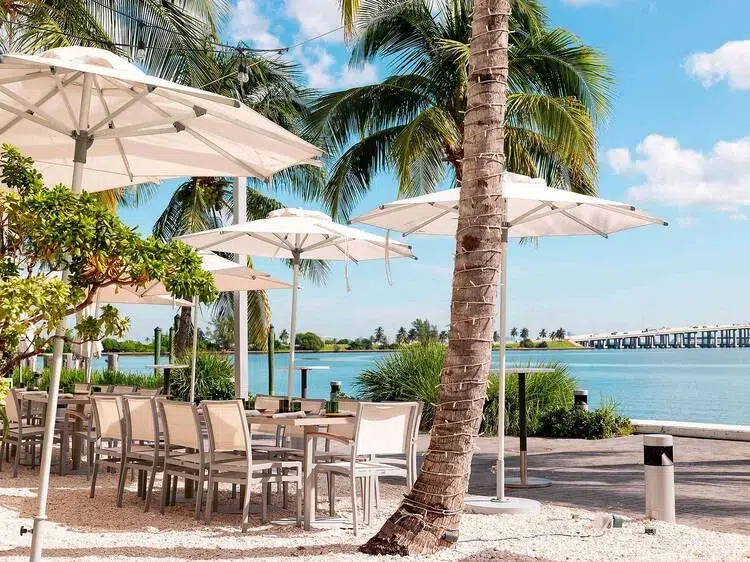 Waterfront outdoor dining area with palm trees and umbrella-covered tables overlooking Biscayne Bay in Miami.