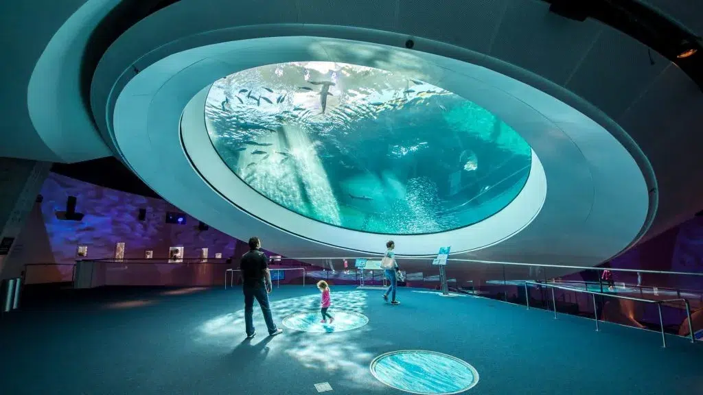Modern Miami aquarium interior with a large underwater viewing dome where visitors watch marine life swimming overhead.