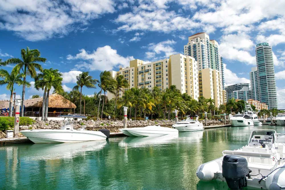 Busy South Beach shoreline near Ocean Drive with palm trees, beachgoers, and classic Miami Beach scenery