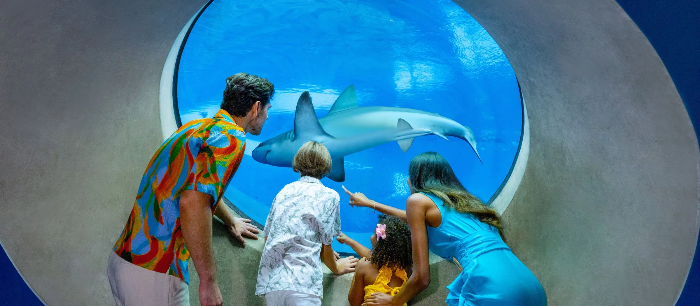 Family observing a shark through the aquarium viewing window at the Frost Museum of Science in Miami, enjoying one of the city's top indoor attractions for summer.