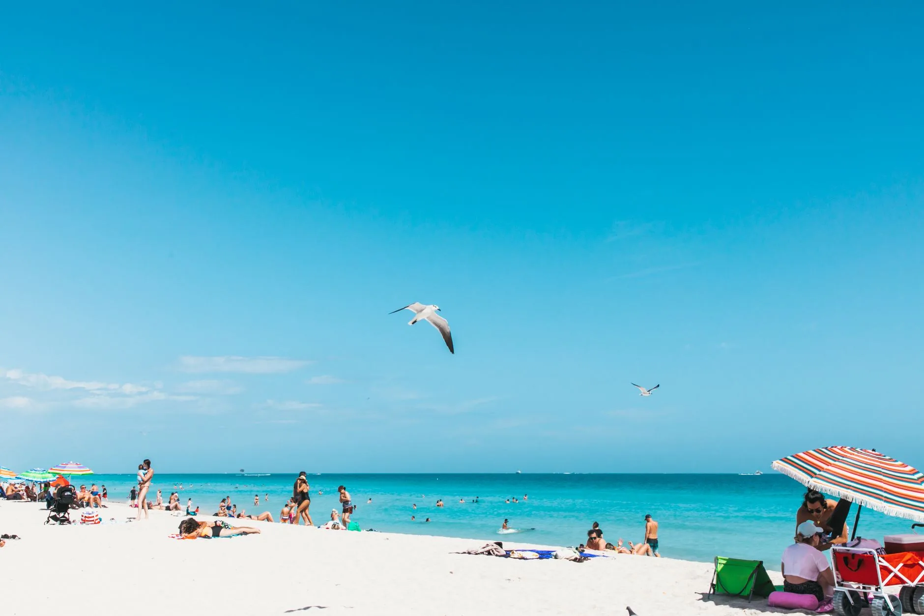 Supporting stock visual of a Miami Beach summer weekend, not an official Miami Takeover event photo. Miami Takeover 2026 crowd enjoying a summer festival weekend in Miami Beach